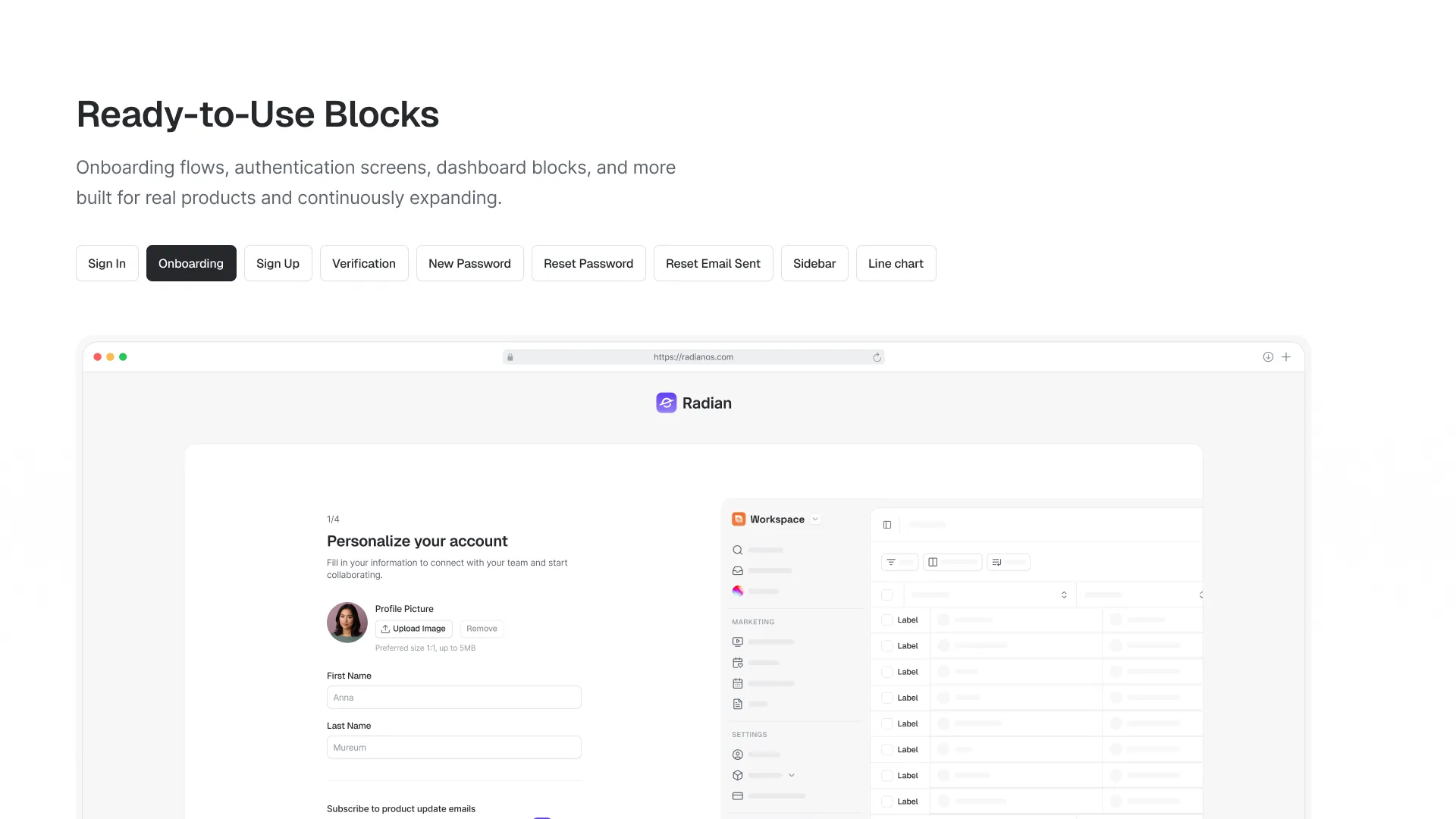 Radian UI screenshot 6