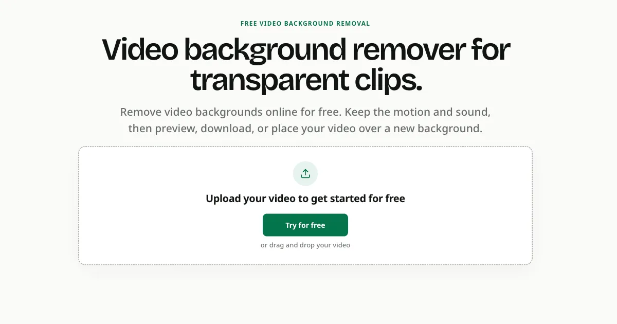 VideoBGRemover